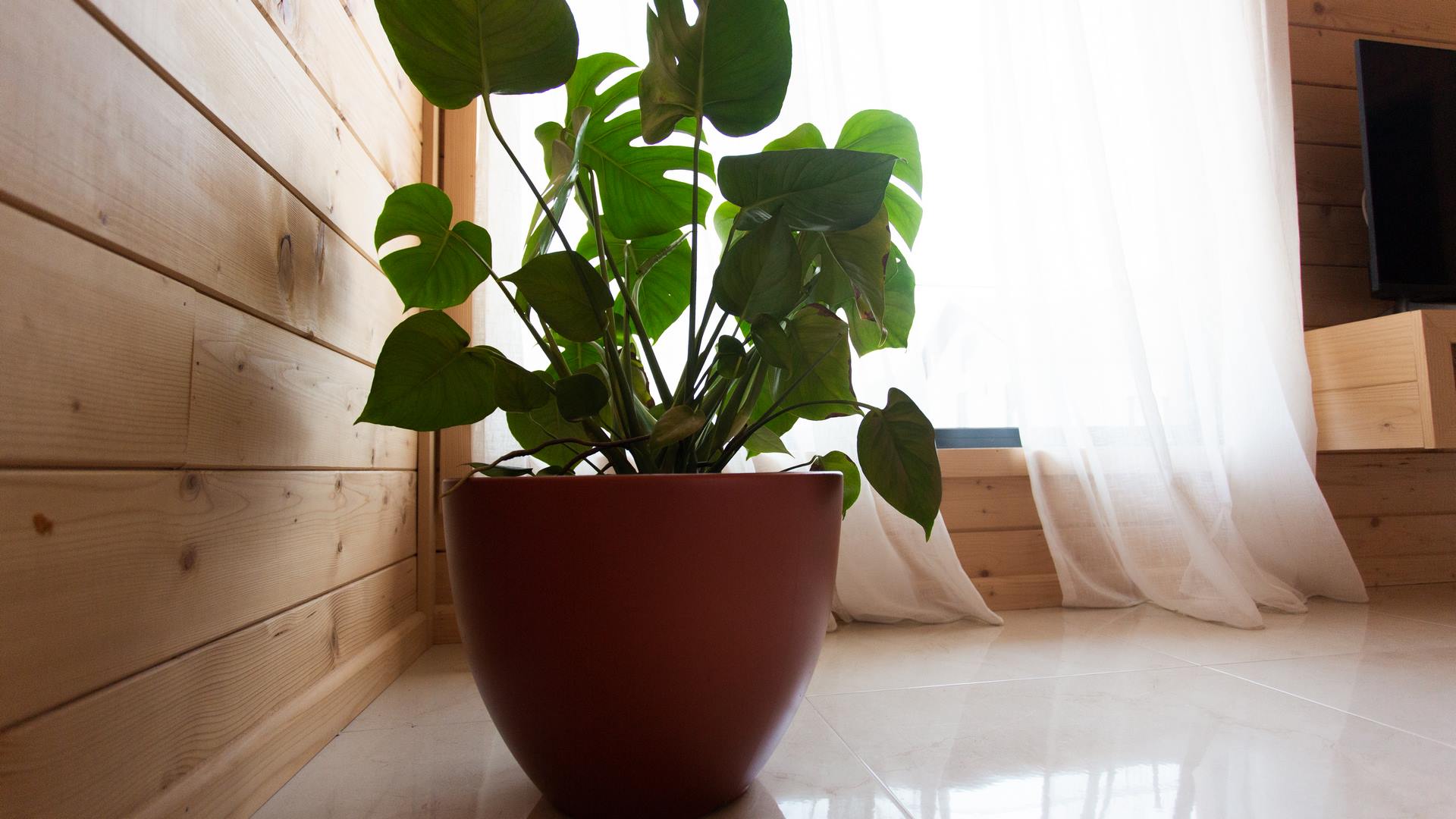 Mountain-Maison-Hotel-Mojkovac-Deluxe Queen-Room (17)