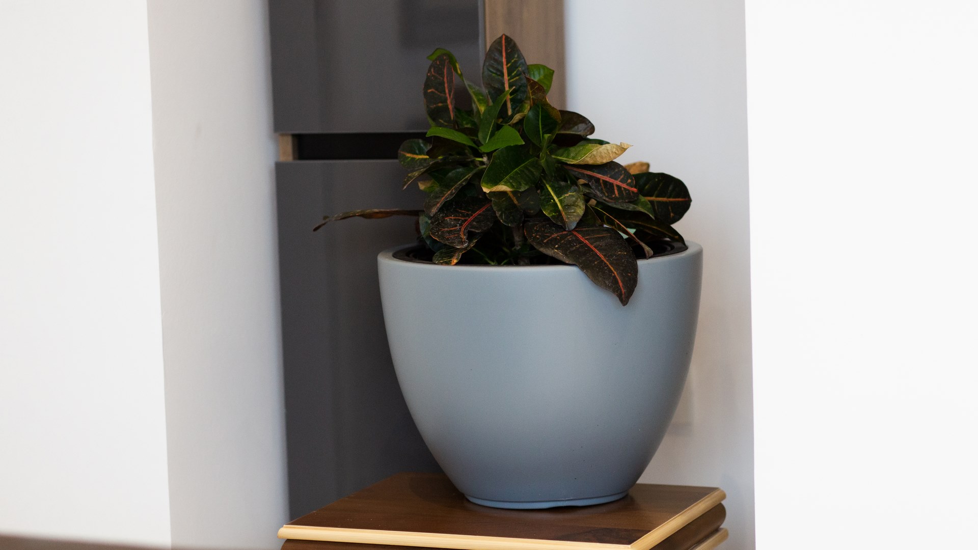 Mountain-Maison-Hotel-Mojkovac-Grand-Apartment (13)