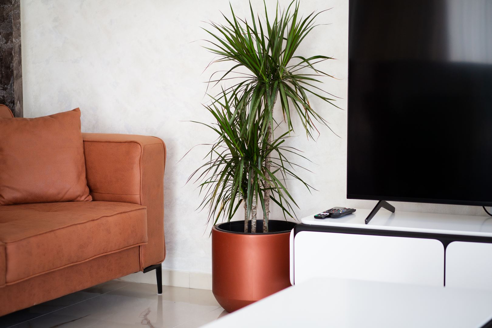 Mountain-Maison-Hotel-Mojkovac-Lux-Apartment (13)