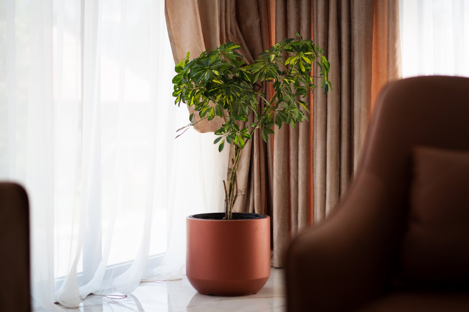 Mountain-Maison-Hotel-Mojkovac-Lux-Apartment (14)