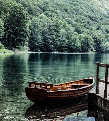 biogradska-gora-mojkovac-bg